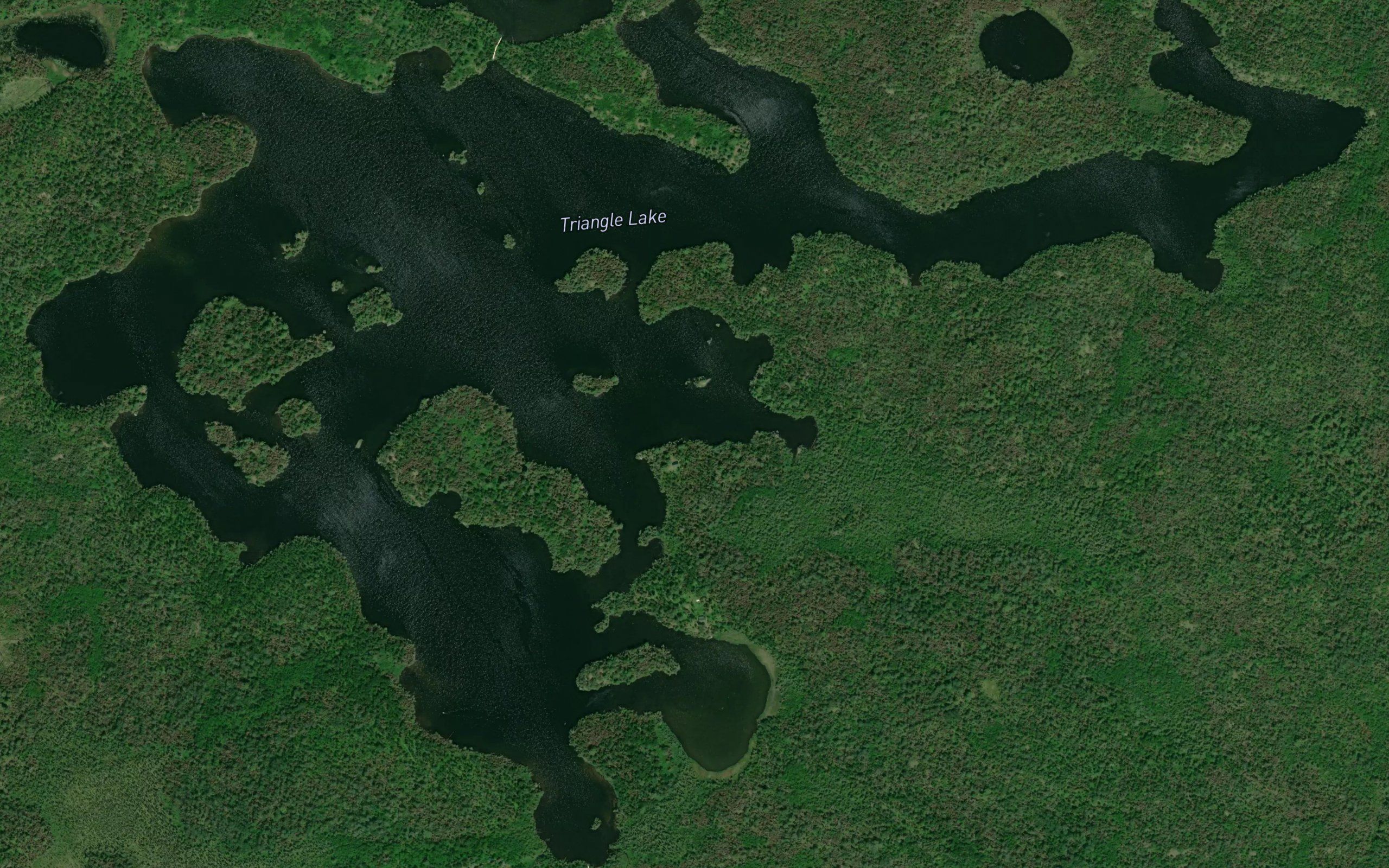 Triangle Lake
