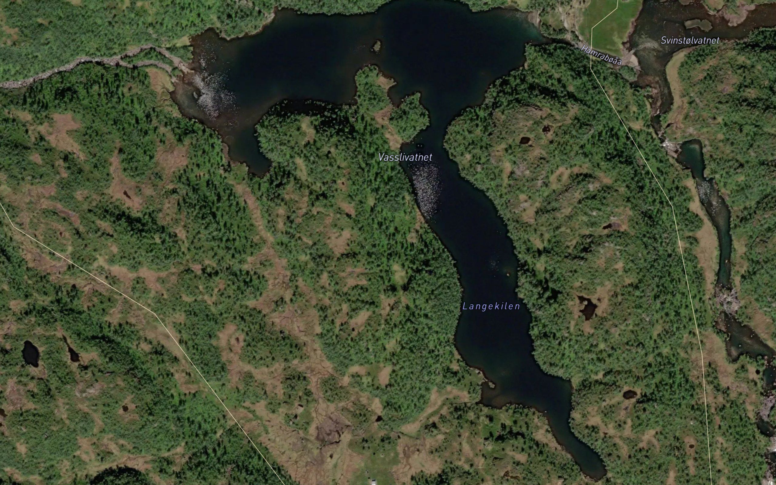 Vasslivatnet