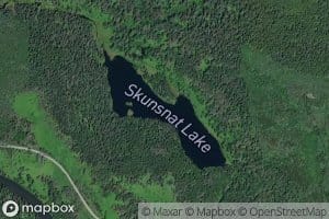 Skunsnat Lake