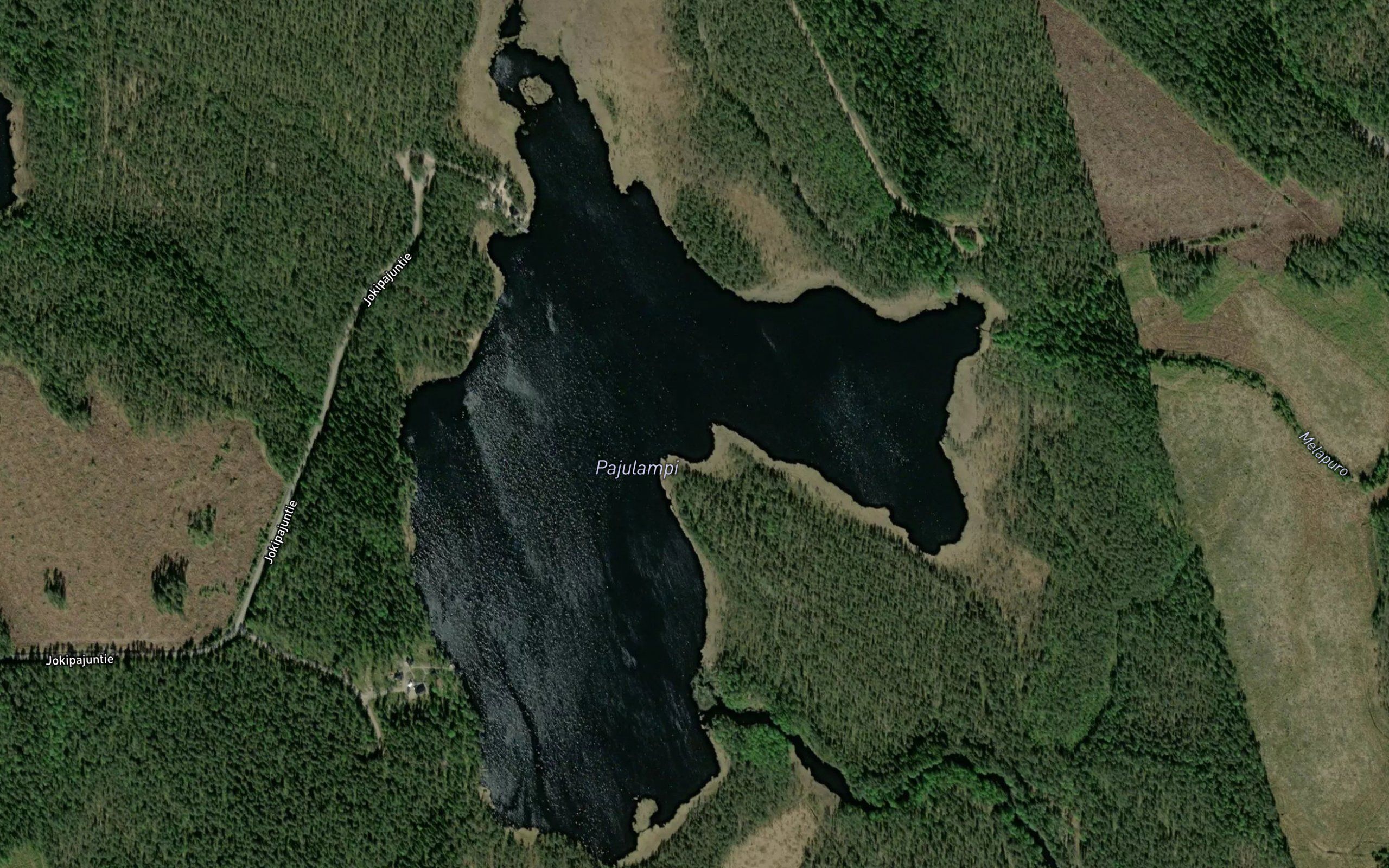 Pajulampi