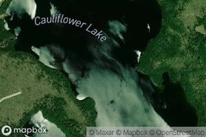 Cauliflower Lake