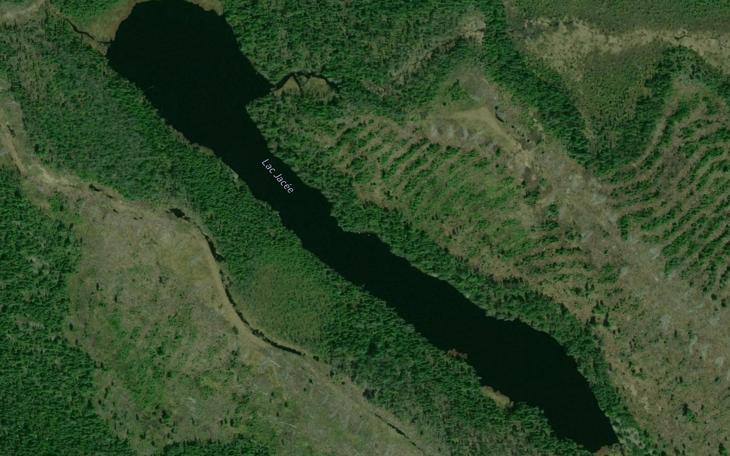 Lac Jacee