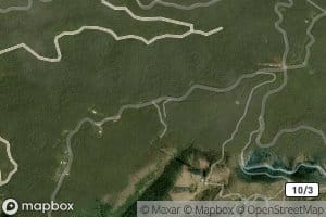 Harry S Thomas Spring