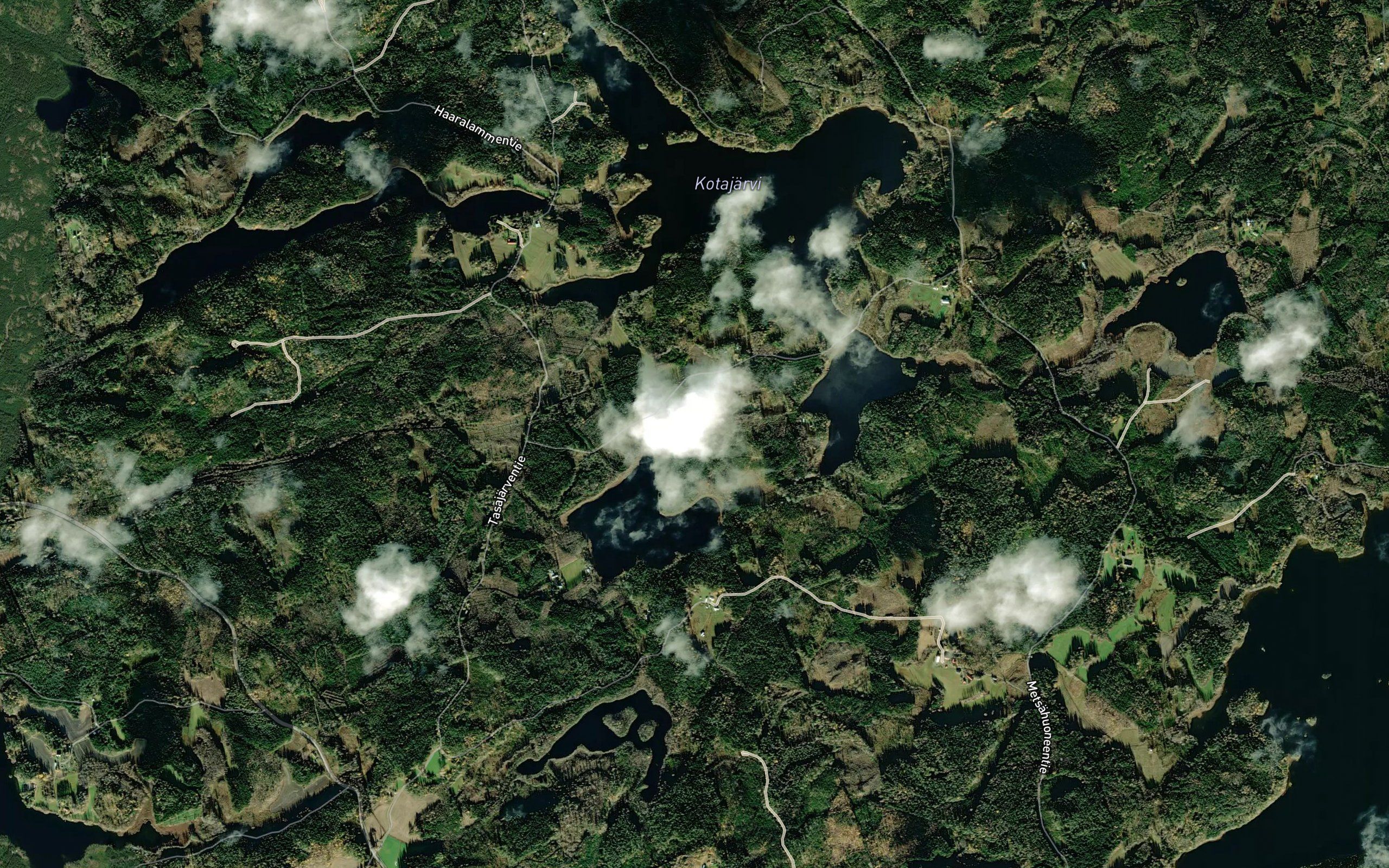 Kokkilahti