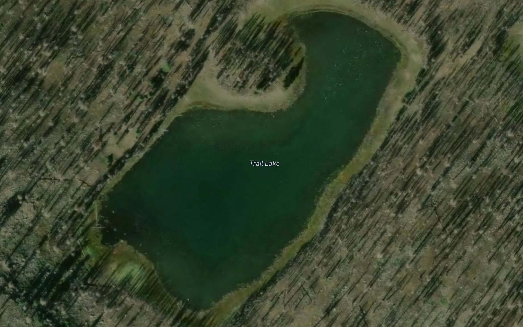 Satellite map of the Trail Lake