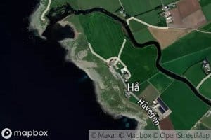 Haelvi