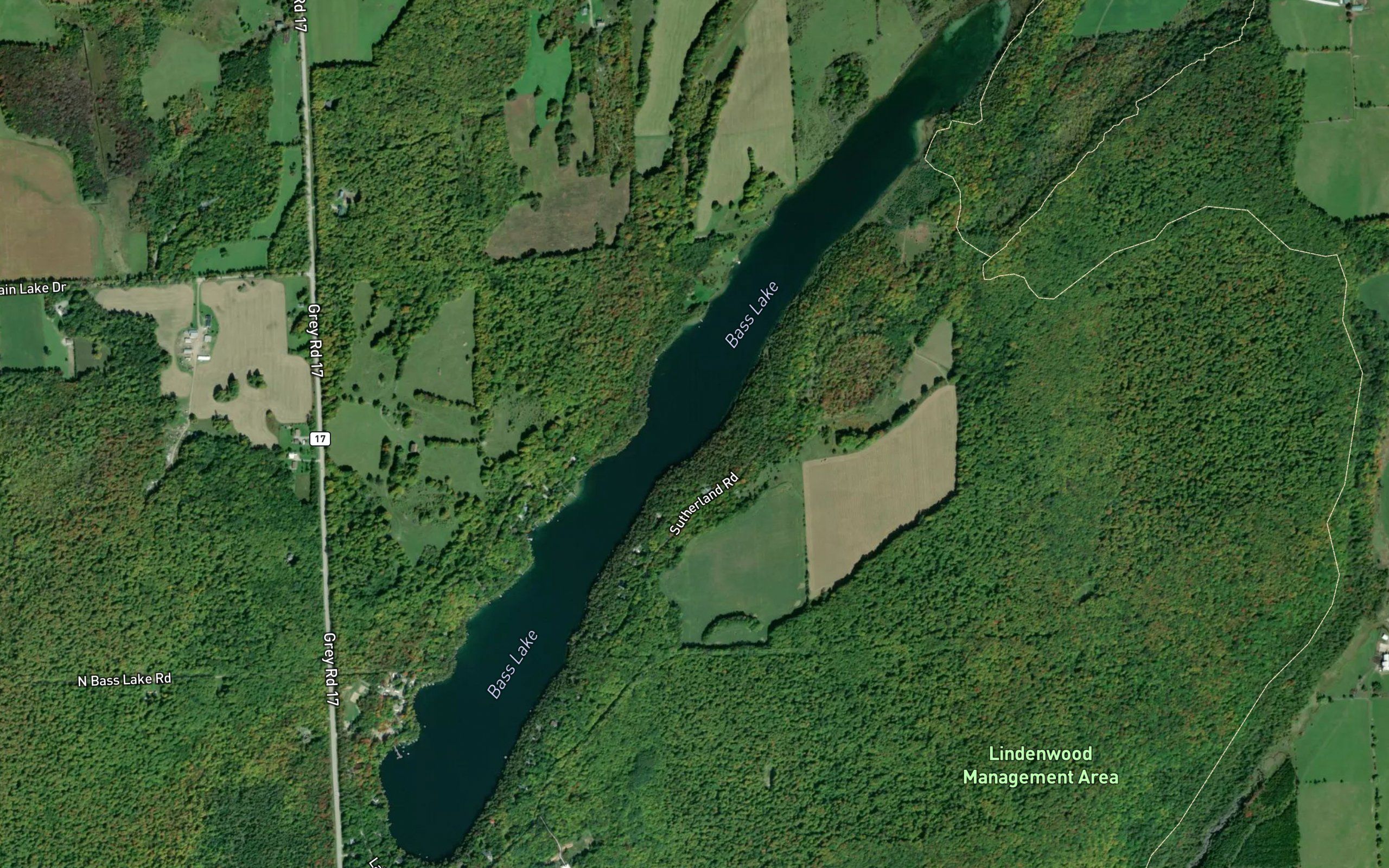 Bass Lake