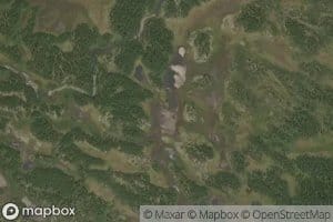 Langetjernet