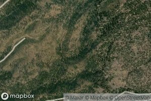 Dustbox Spring