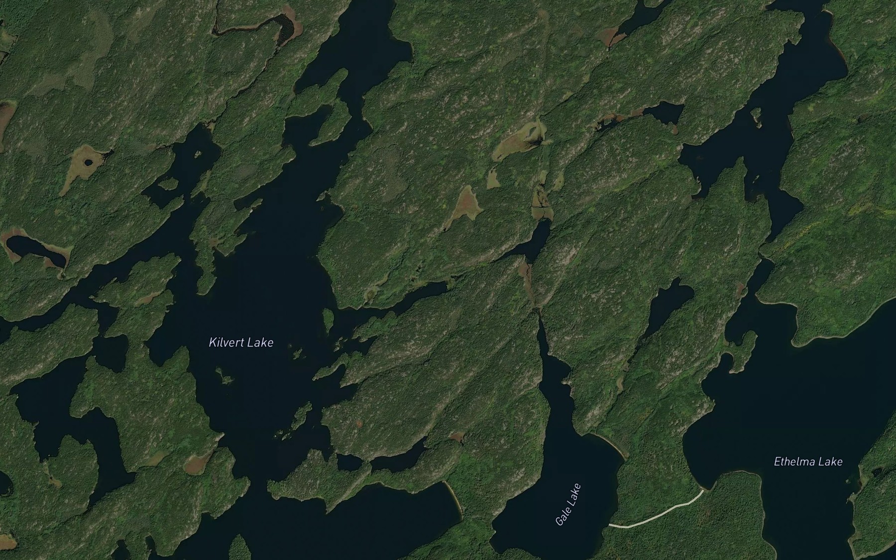 Satellite map of the Gale Creek