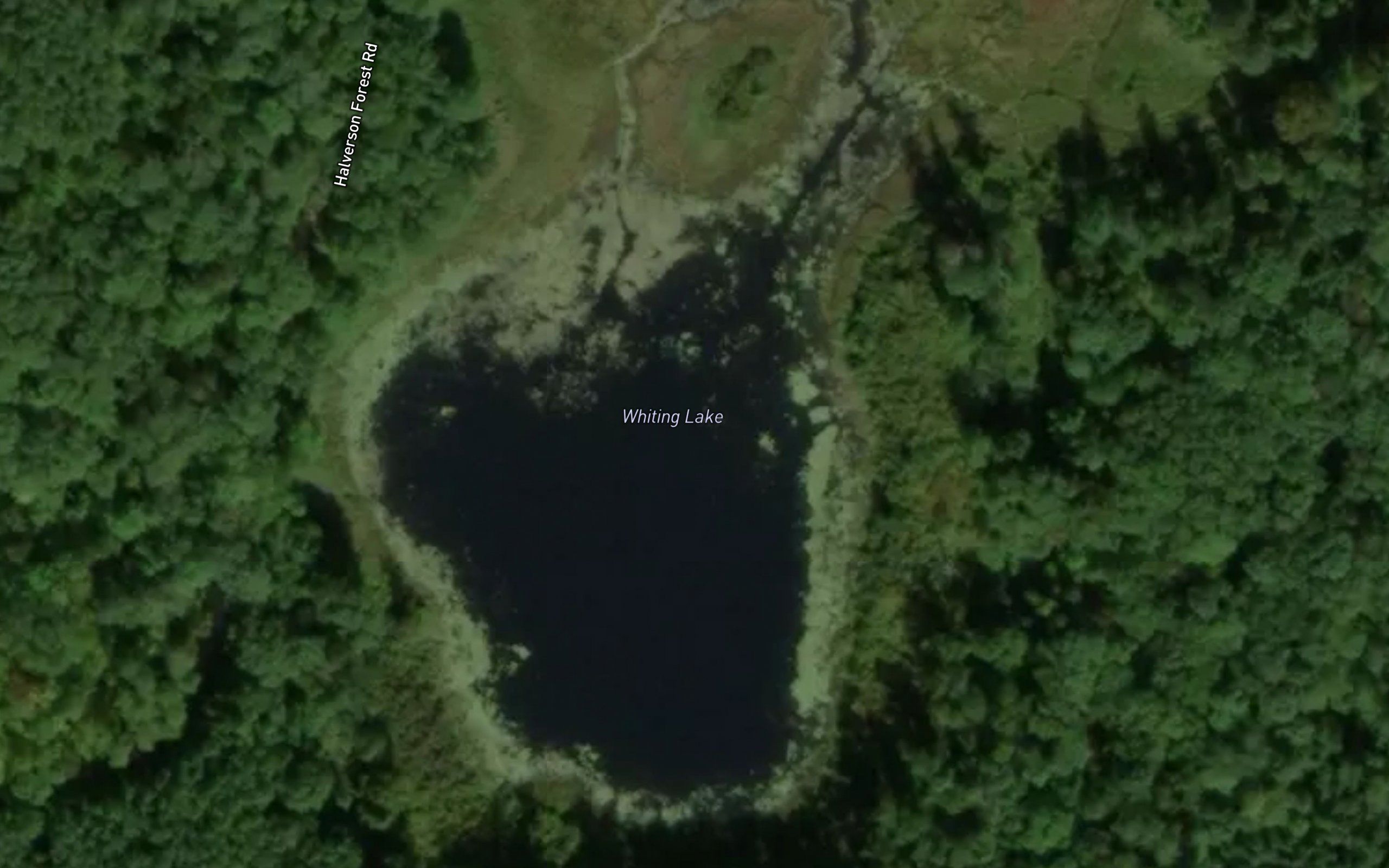 Whiting Lake