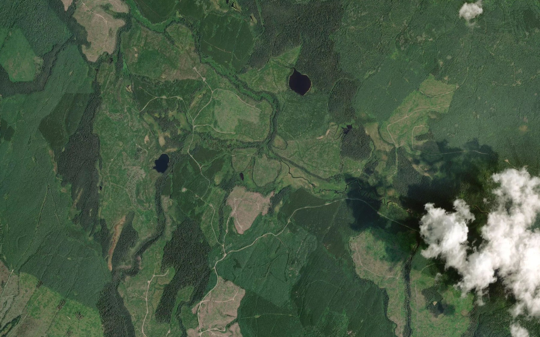 Satellite map of the Maxwell Creek