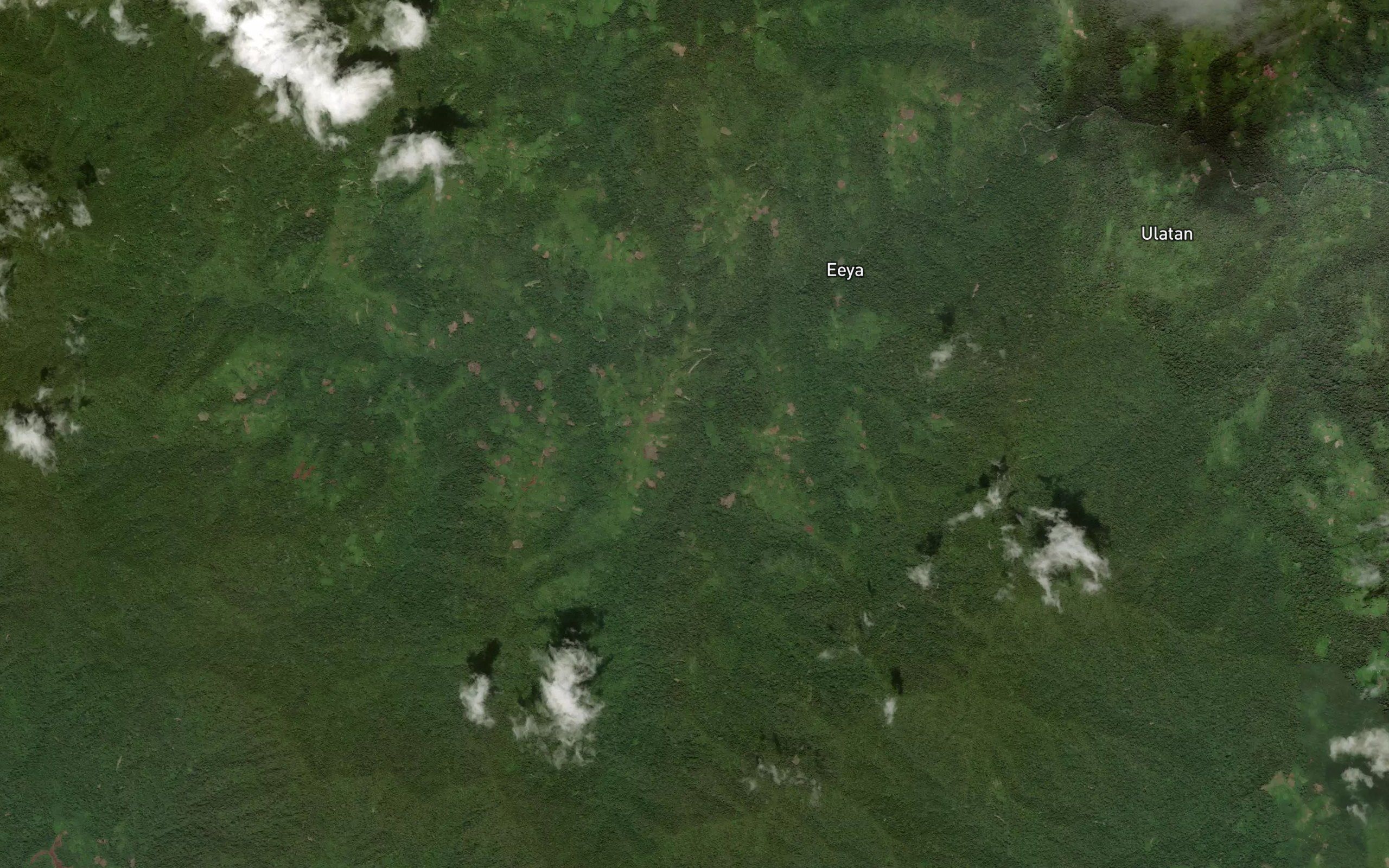 Bangkalang Melompa