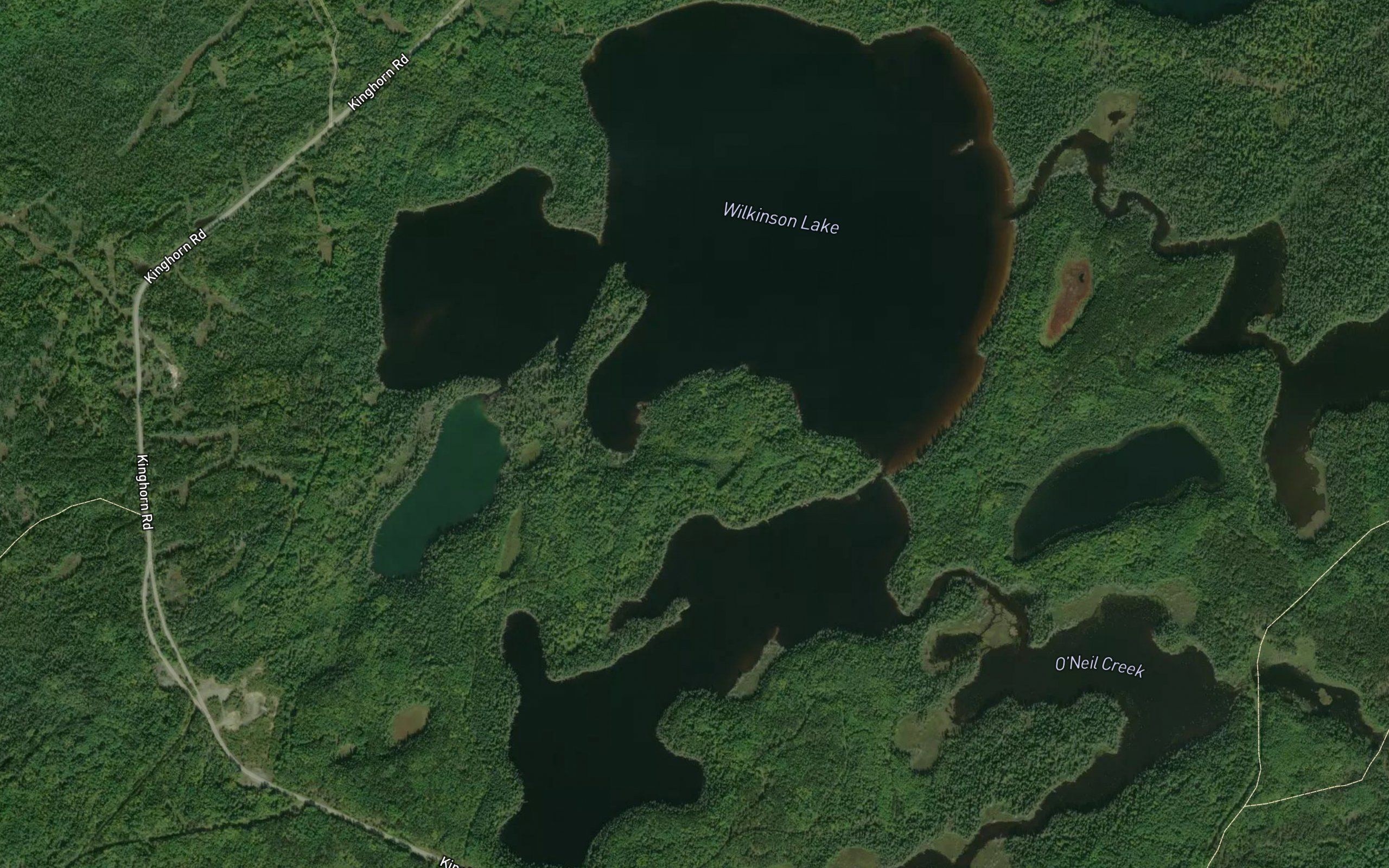 Wilkinson Lake