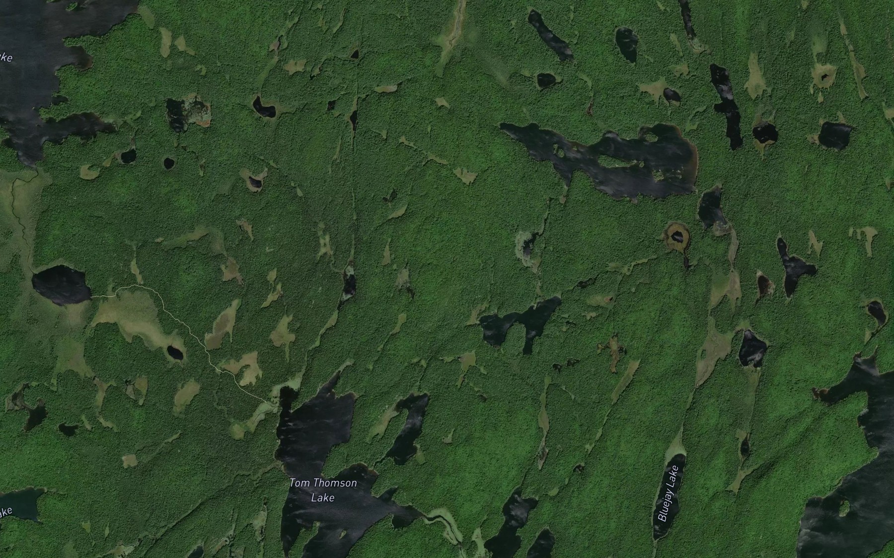 Satellite map of the Aster Pond