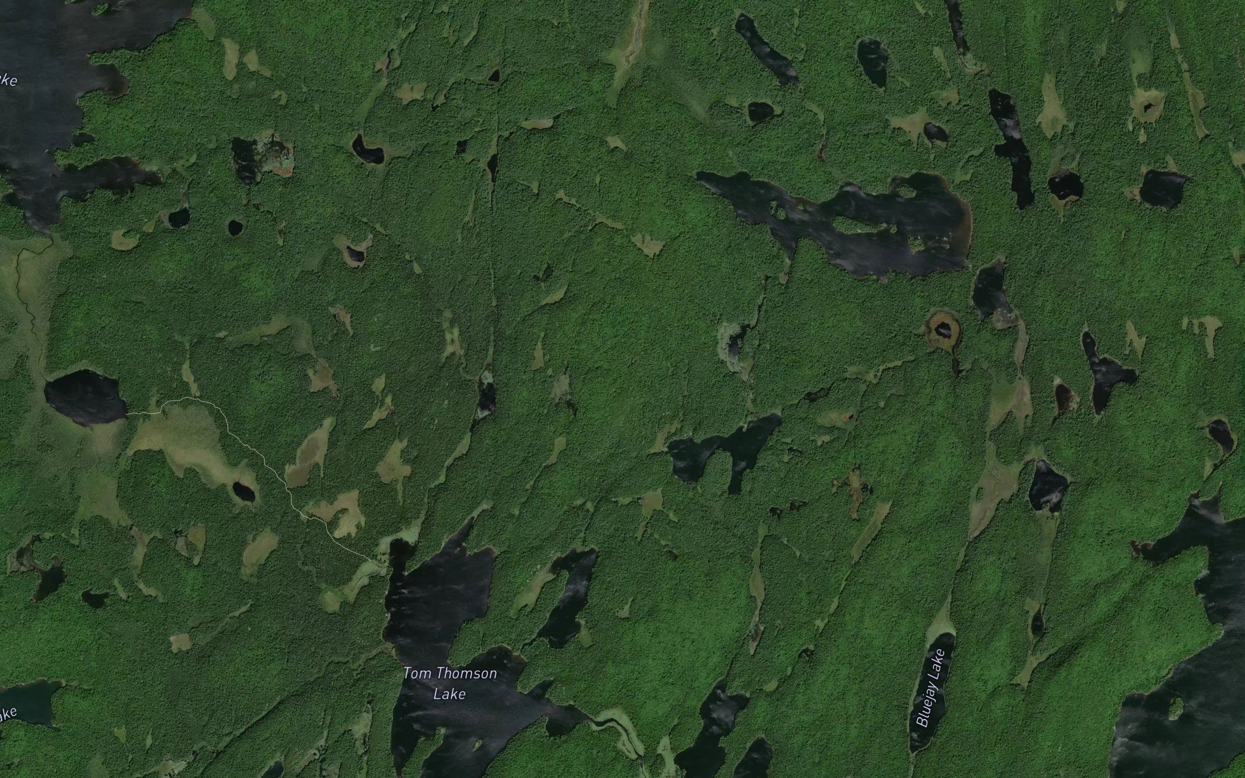 Aster Pond