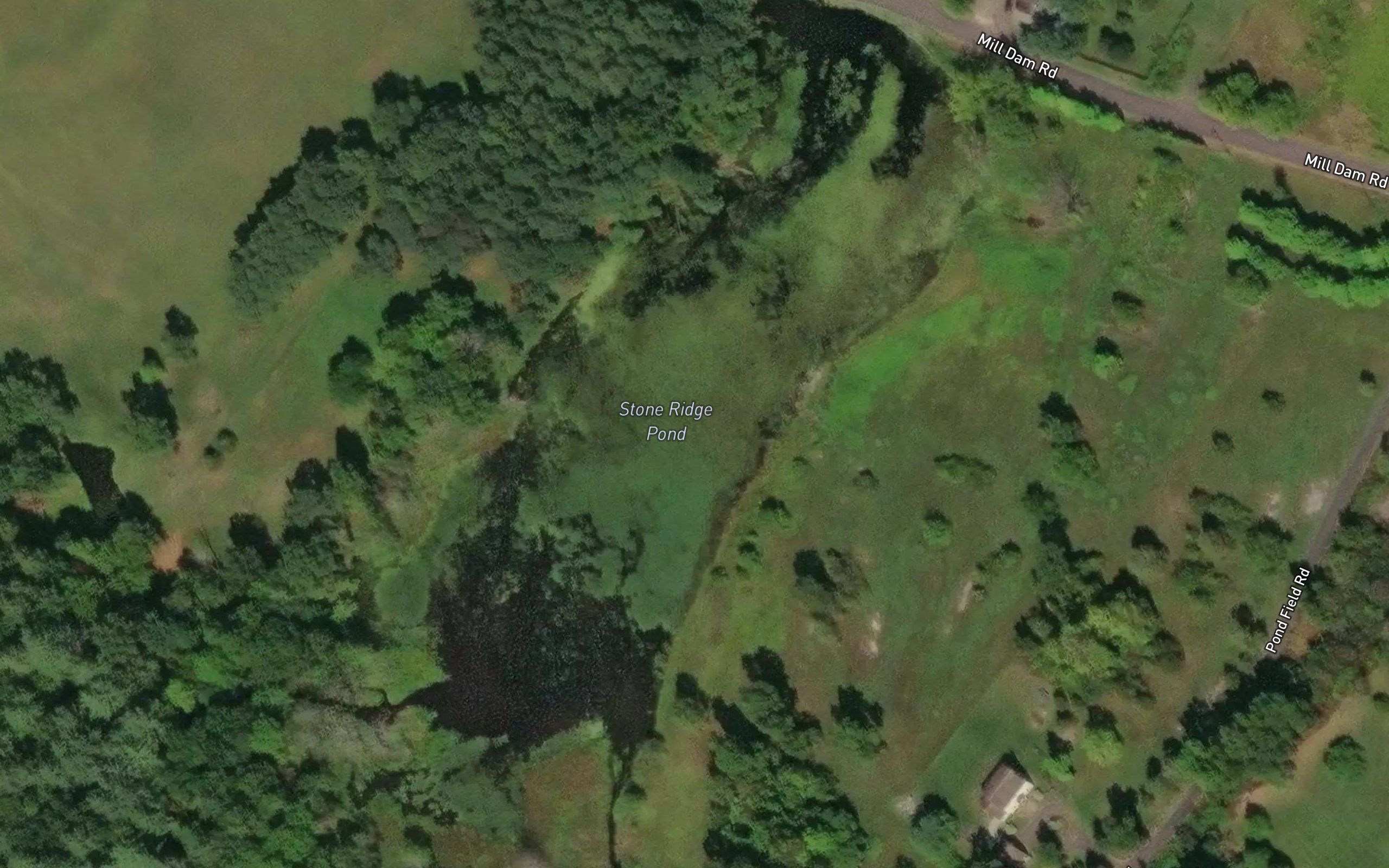 Stone Ridge Pond