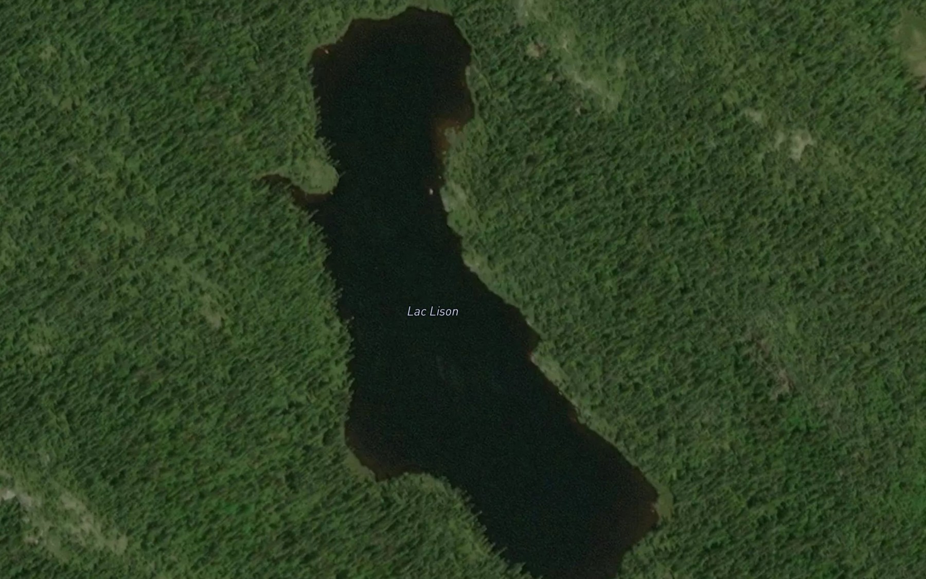 Satellite map of the Lac Lison