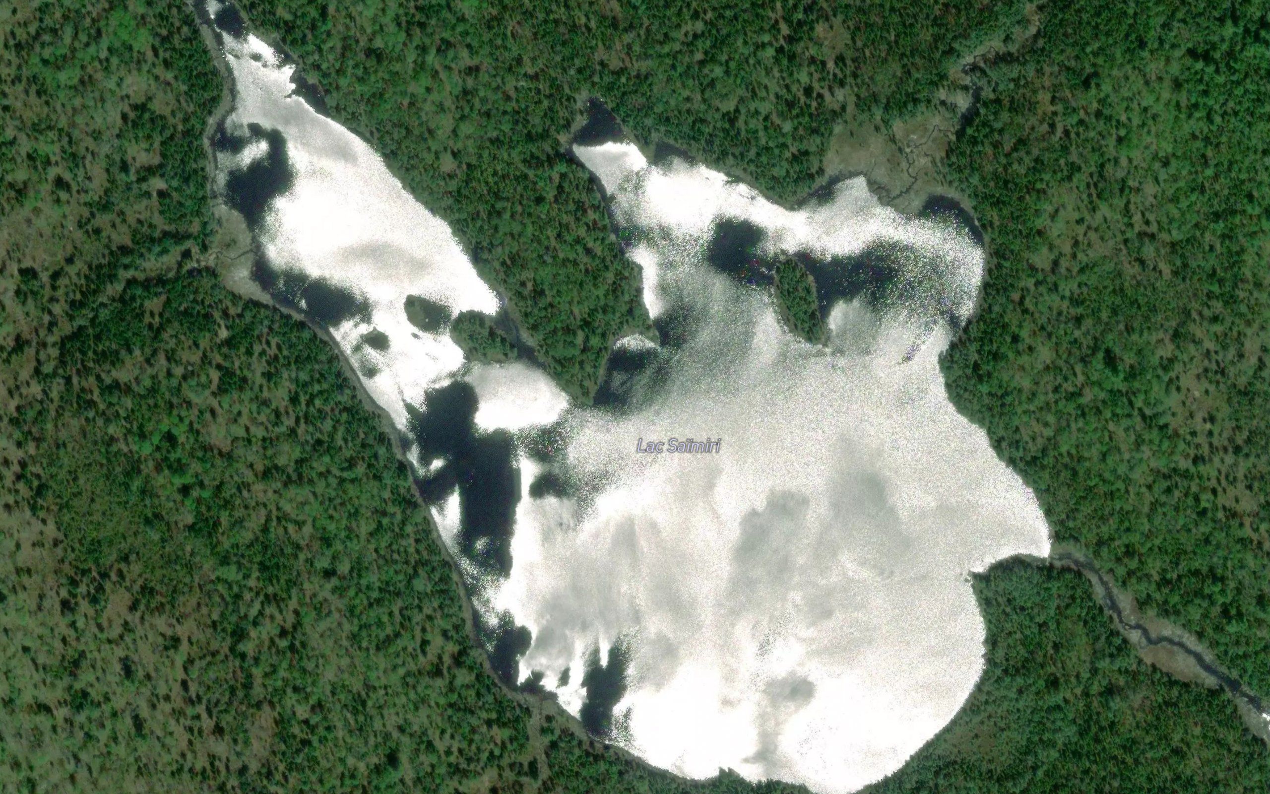Lac Saimiri