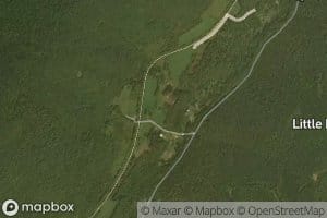 William Harris Spring