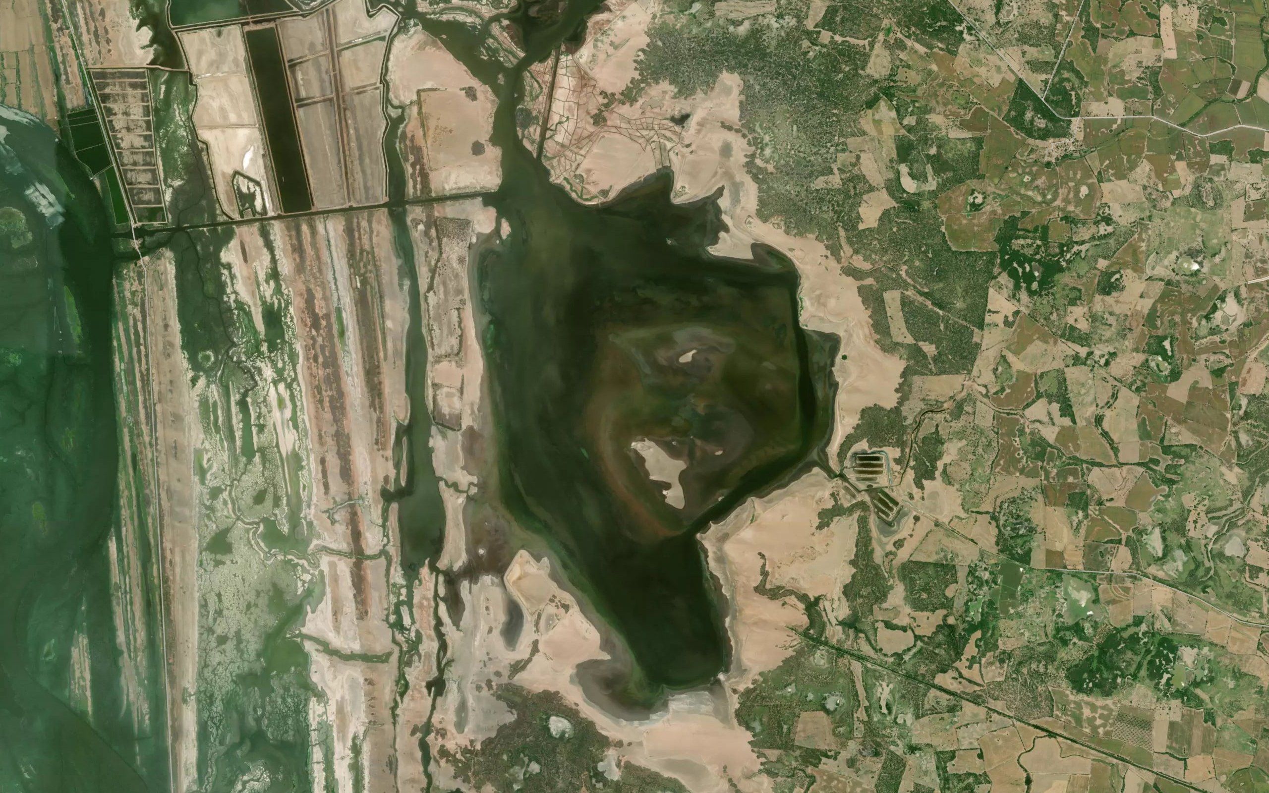 Laguna la Garza