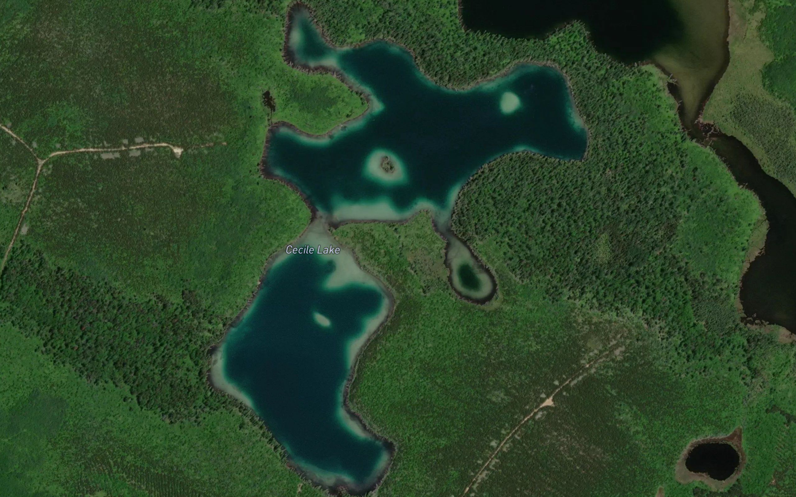 Cecile Lake