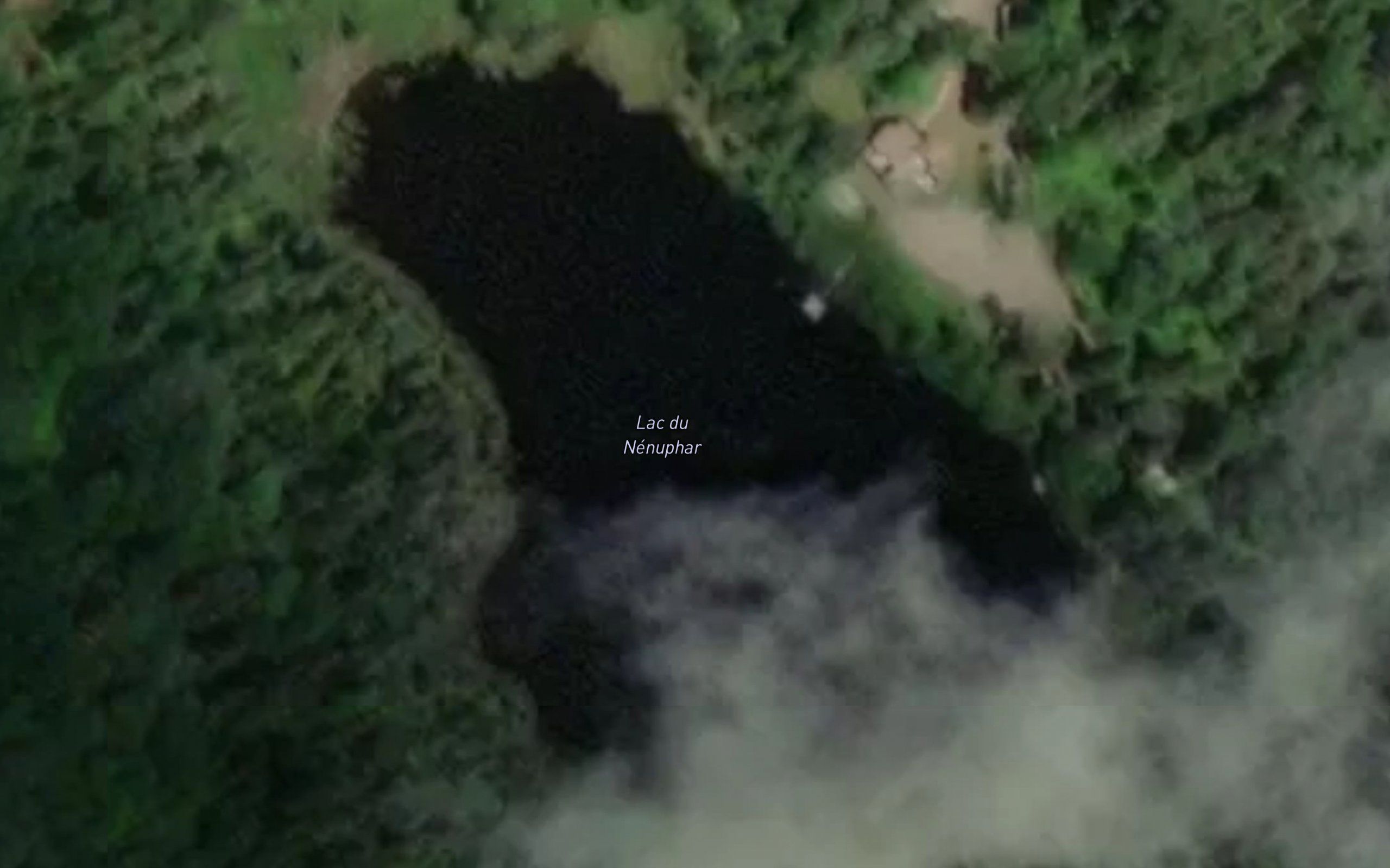Lac du Nenuphar