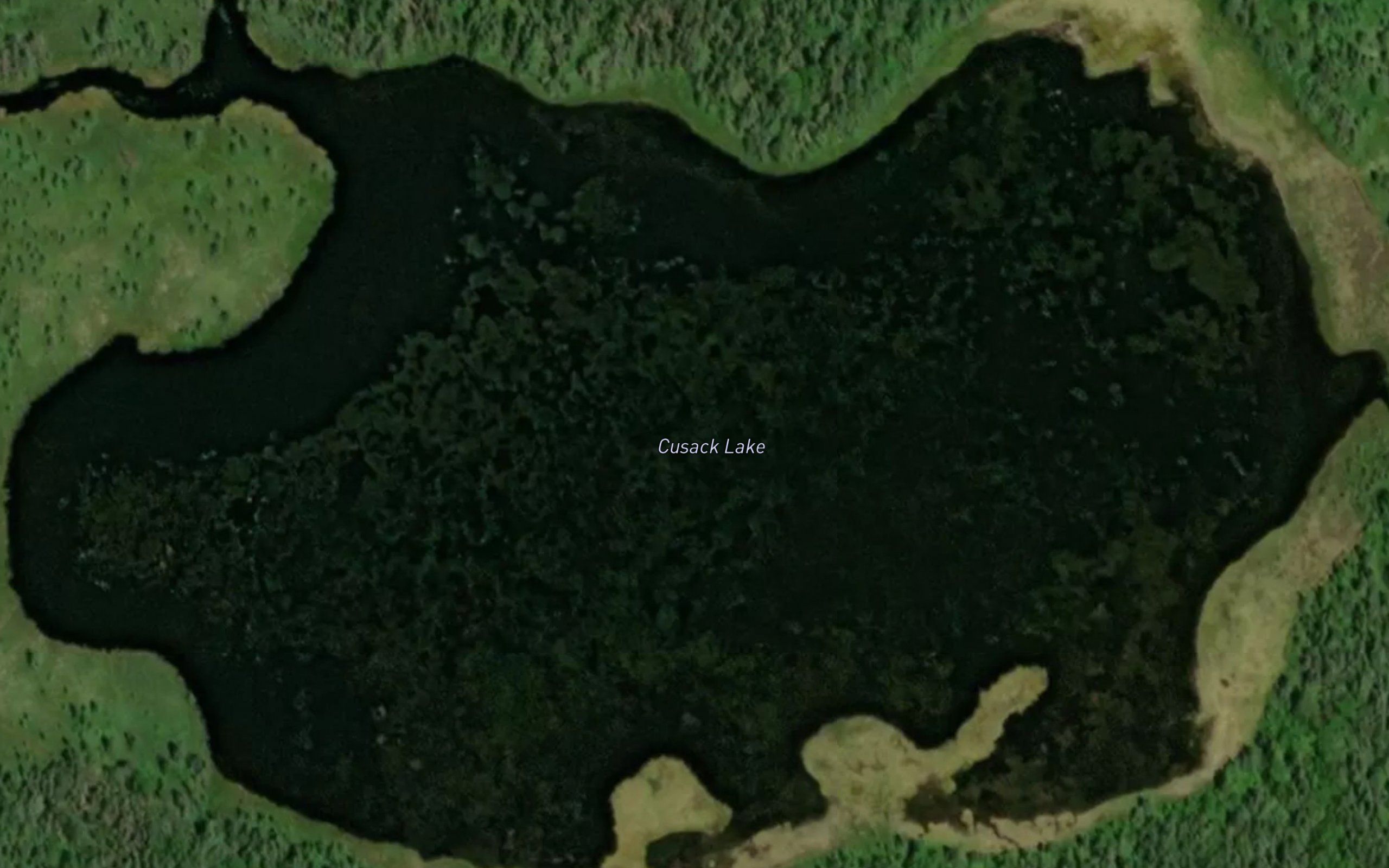 Cusack Lake