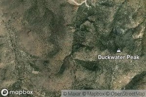 Butte Station Spring