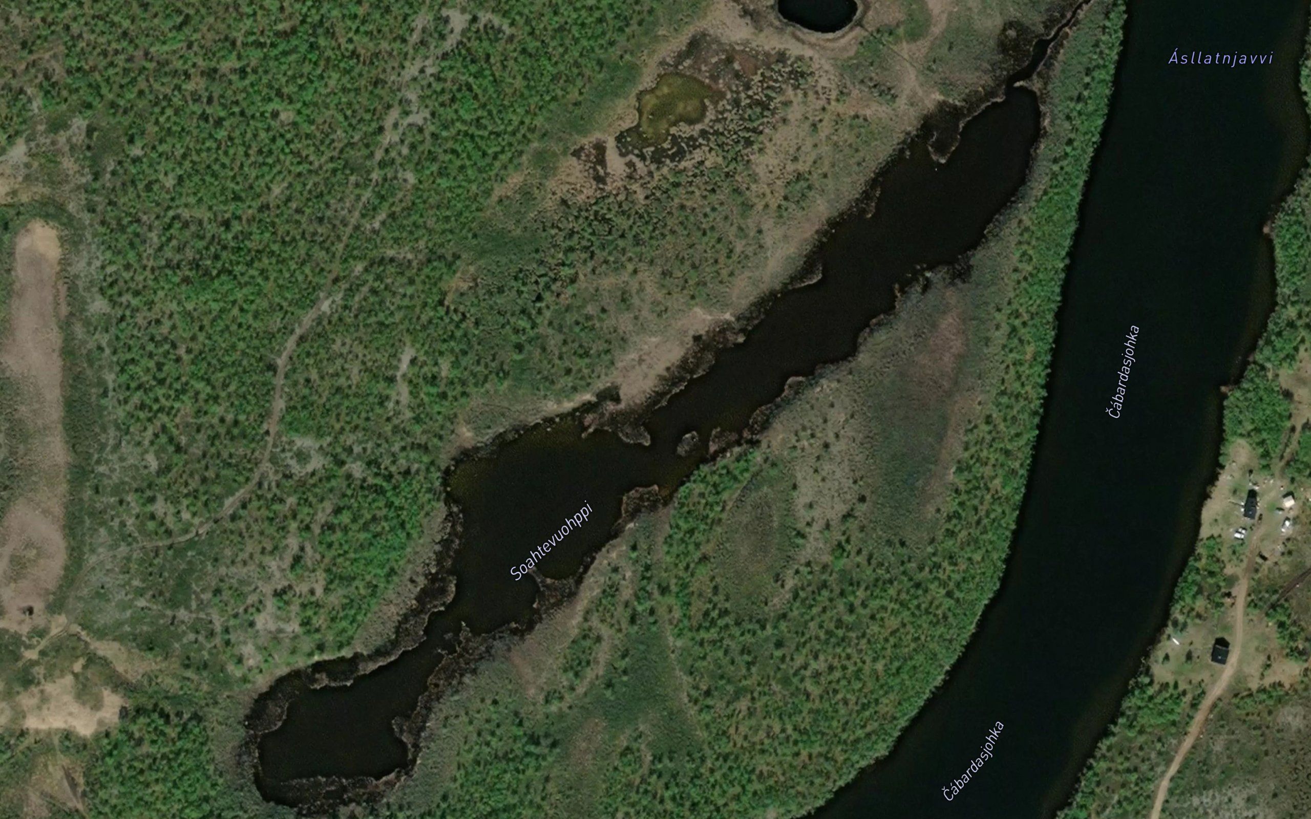 Soahtevuohppi