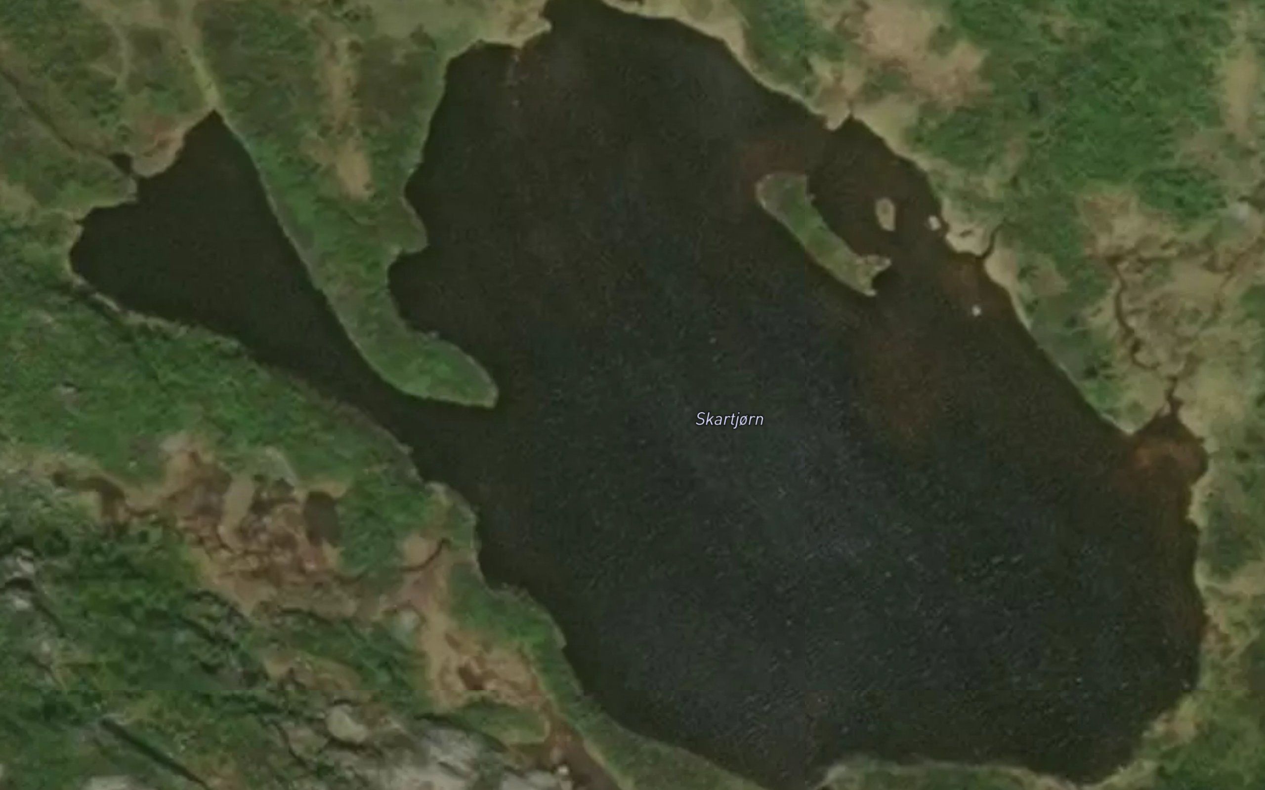 Skartjorn