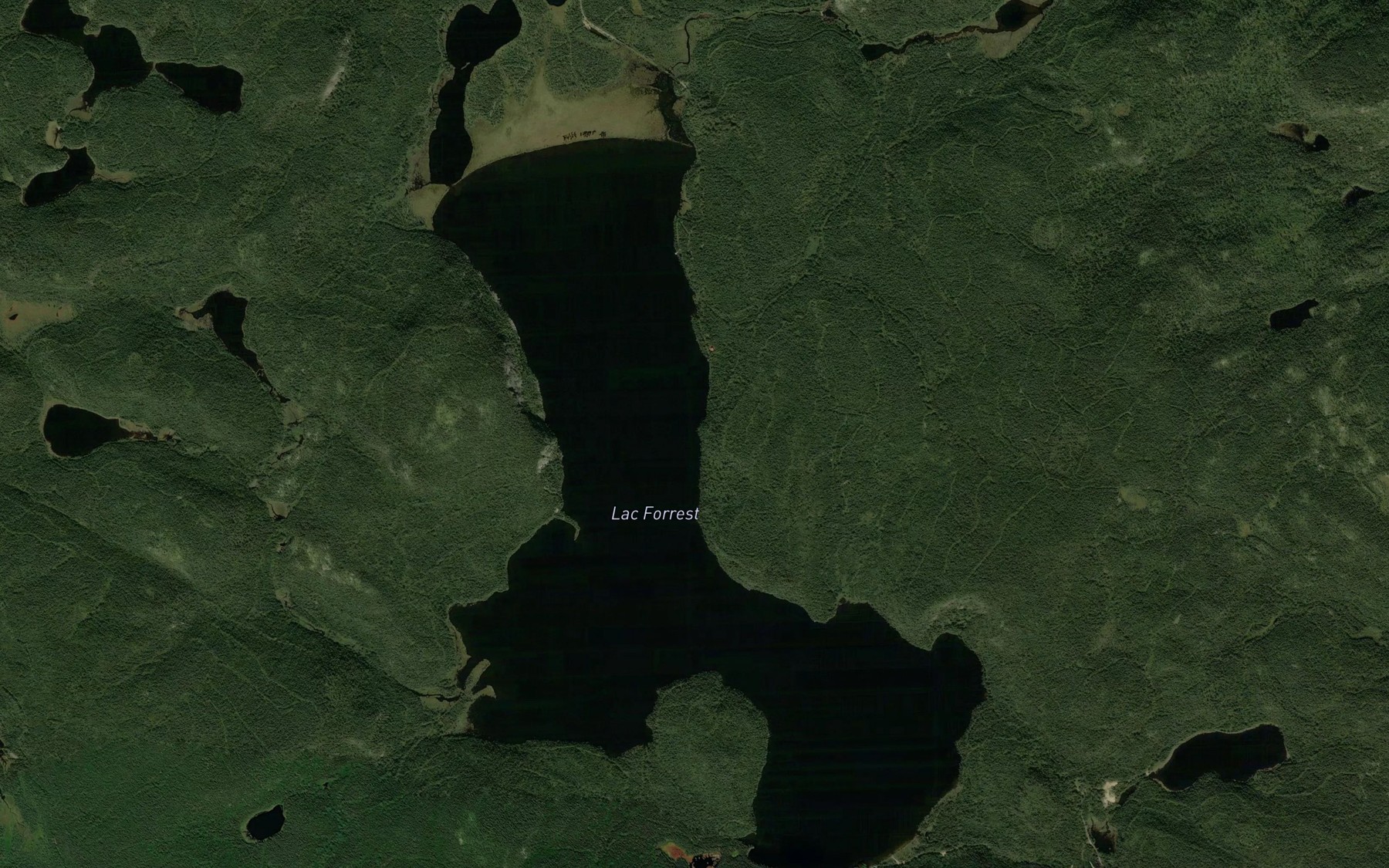Satellite map of the Lac Forrest