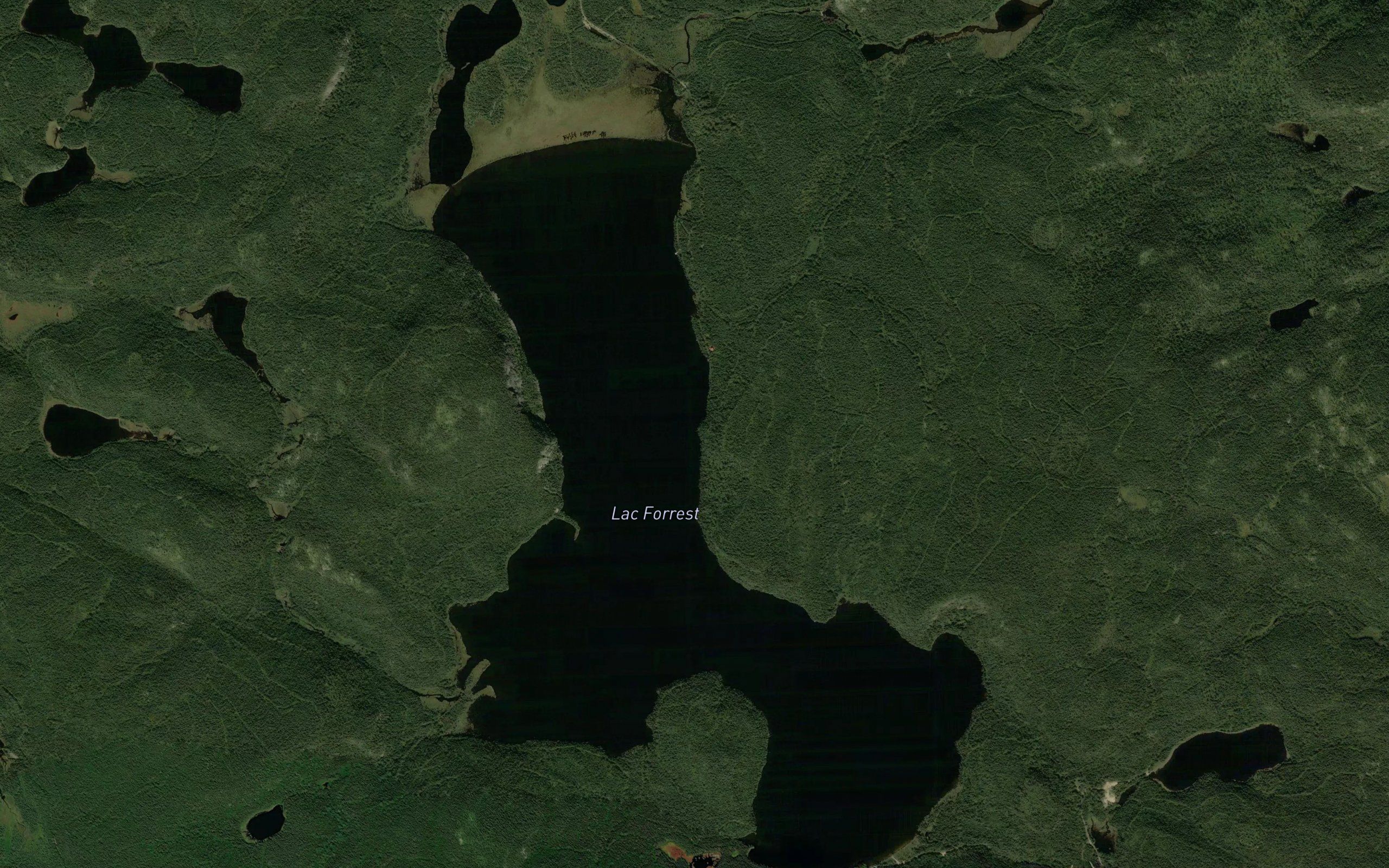 Lac Forrest