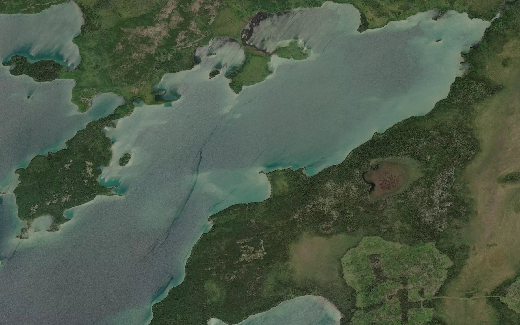 Satellite map of the Cormorant Bay