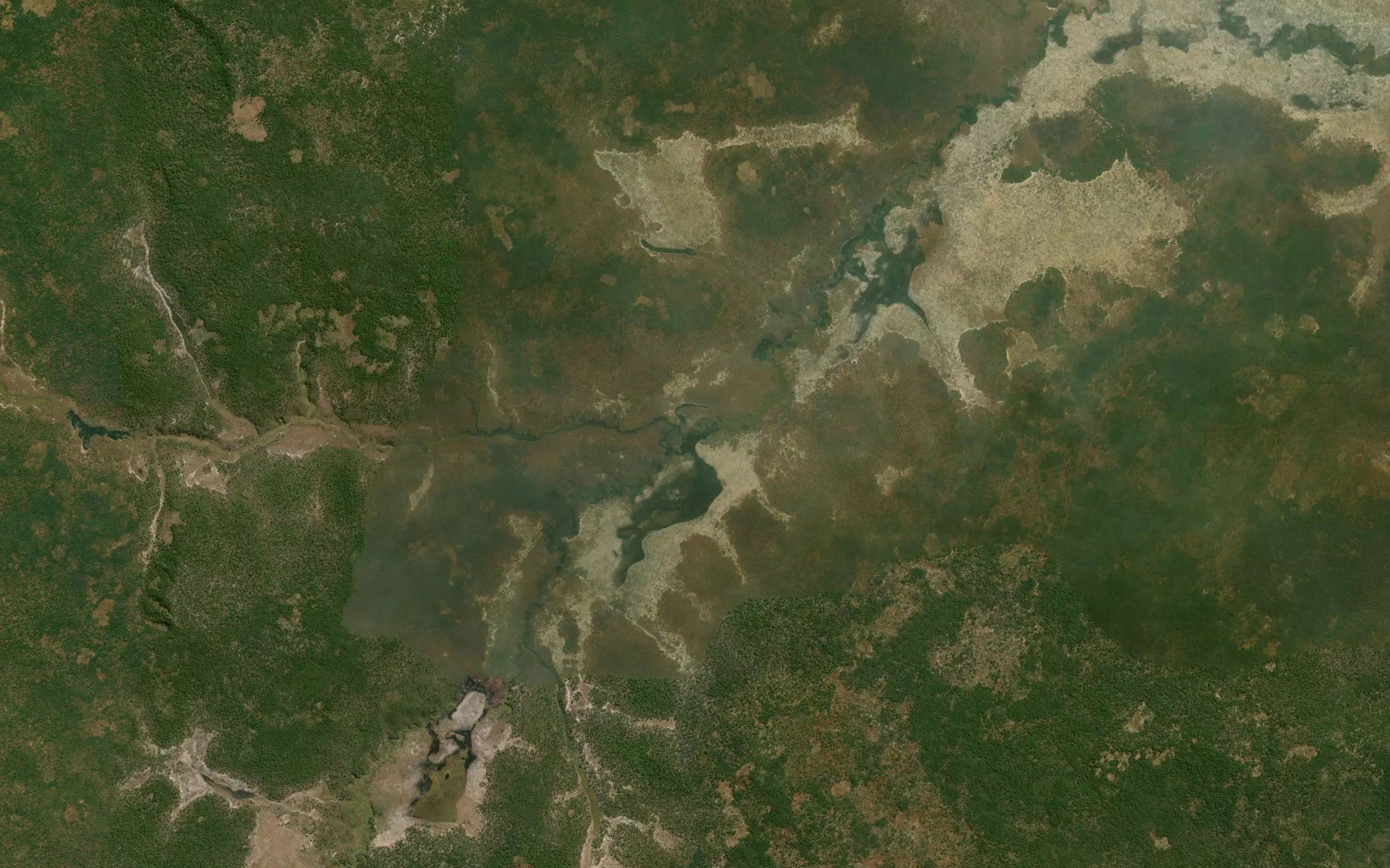 Mingundo