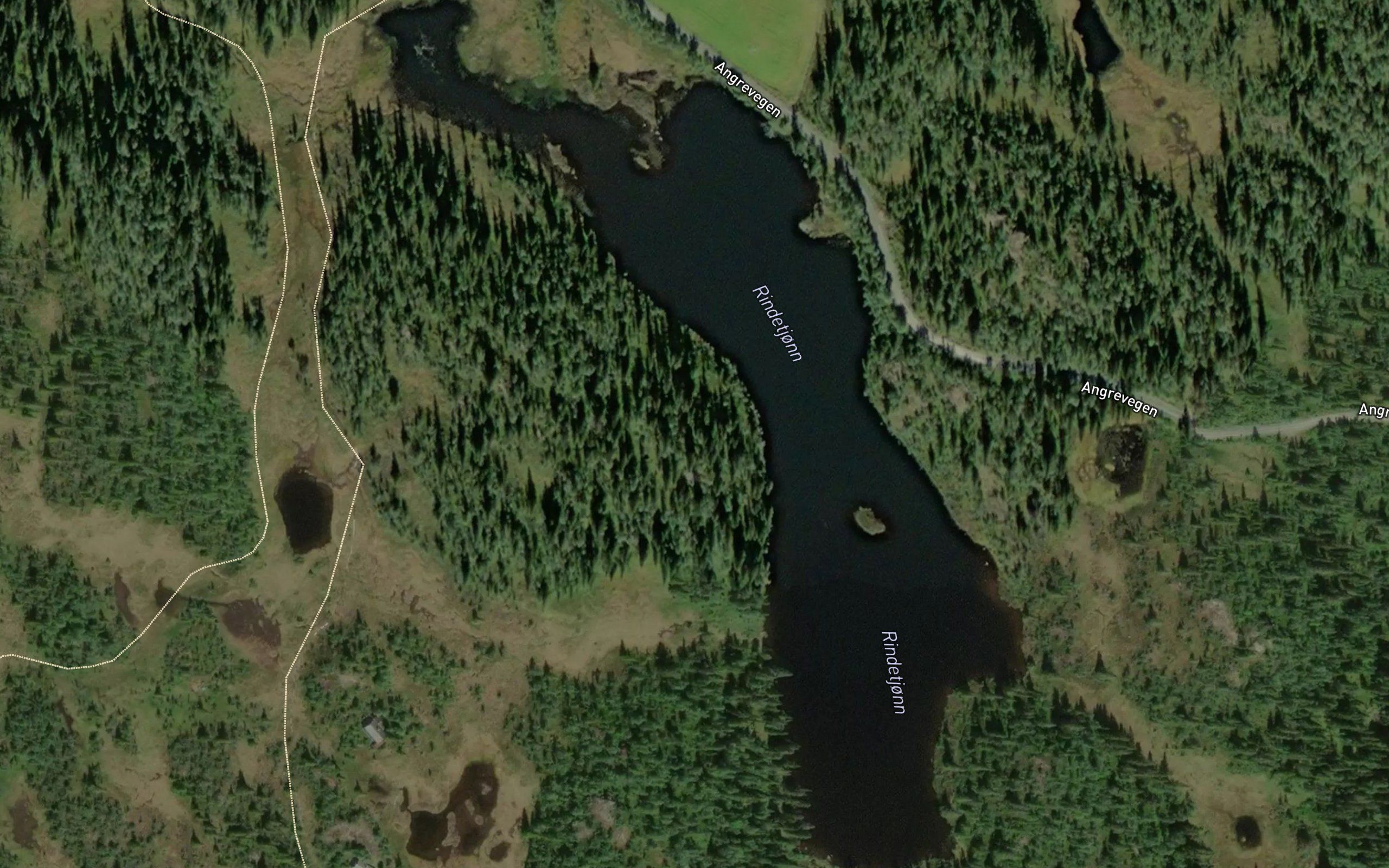 Rindetjorn