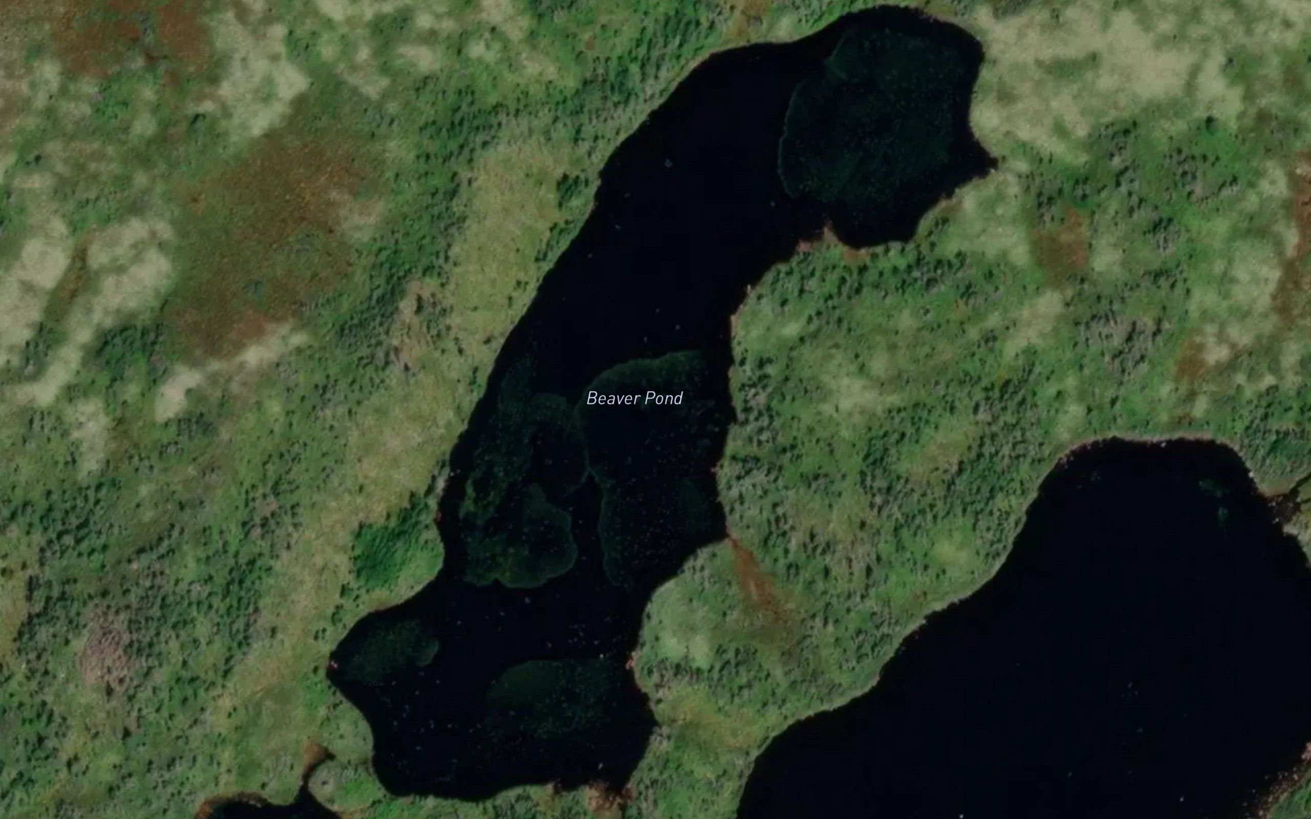 Beaver Pond