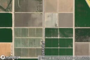 Trifolium Five Drain South