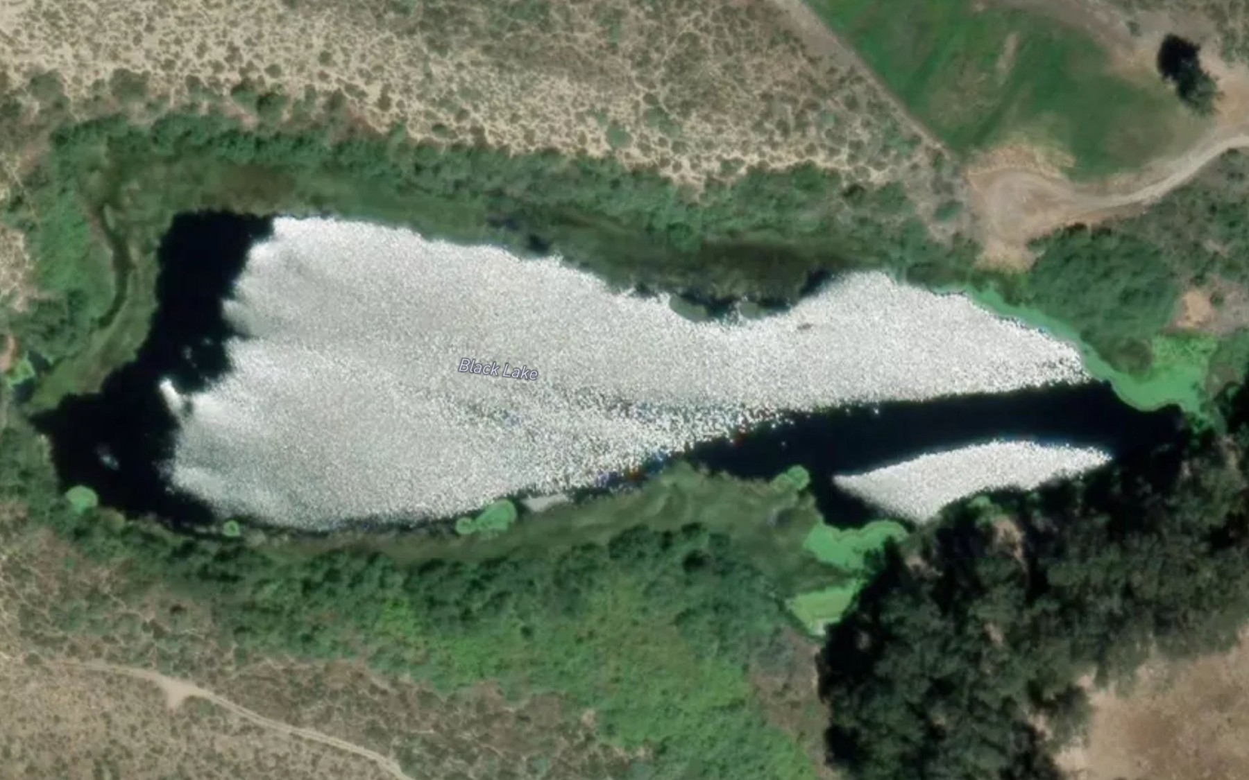 Satellite map of the Black Lake