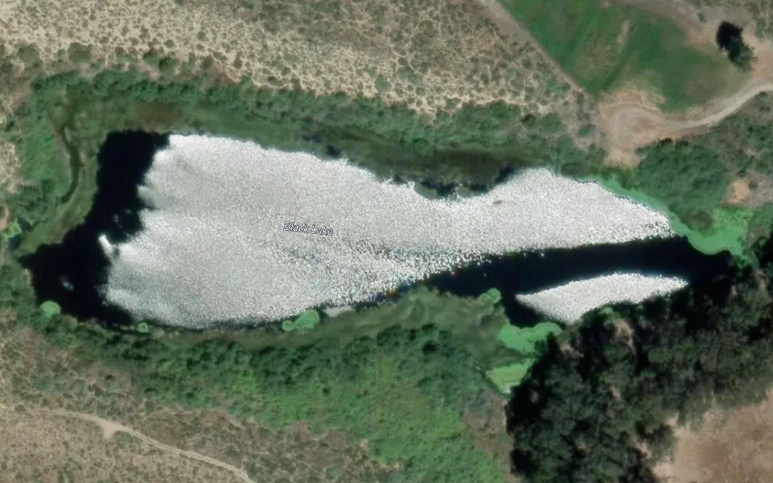 Black Lake