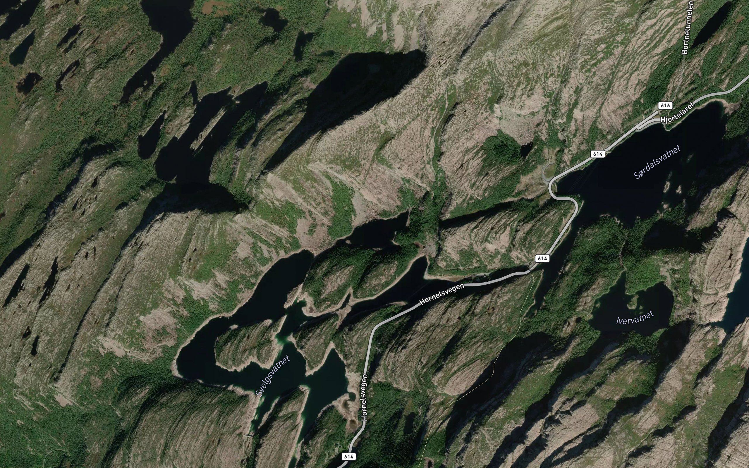 Alhaugvatnet