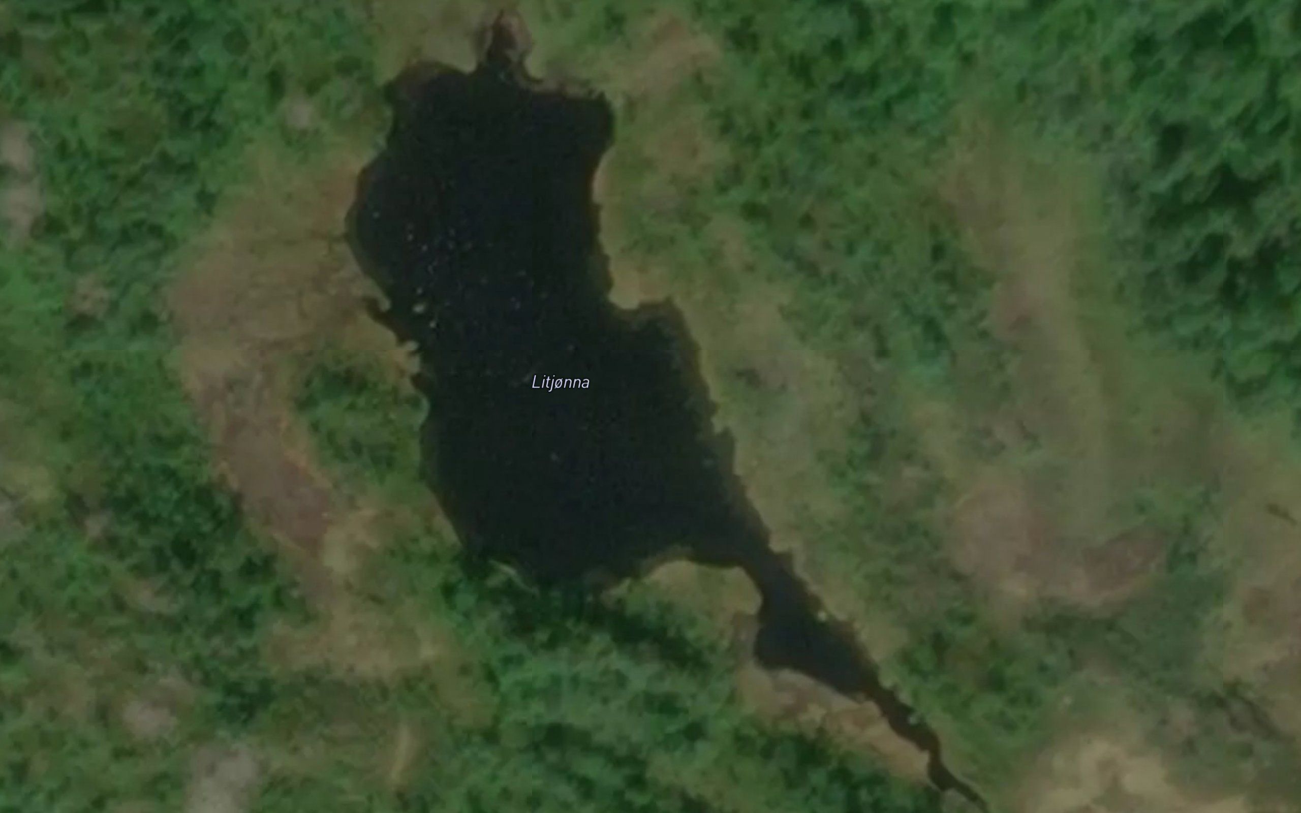 Litjorna