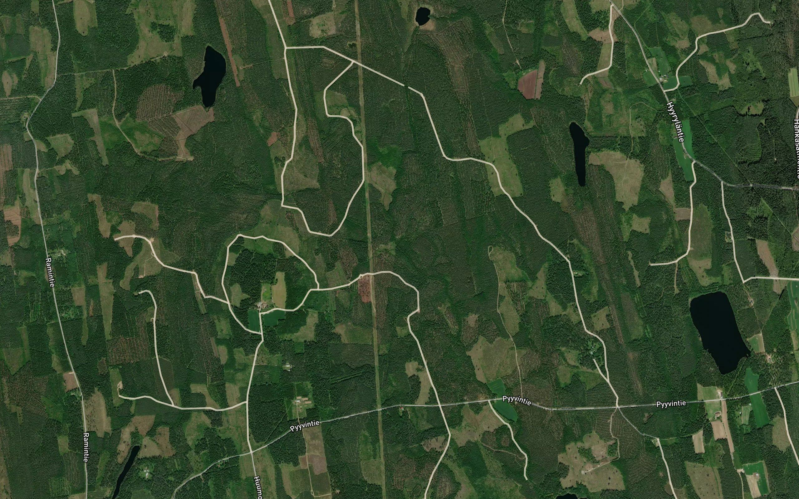 Leppapuru