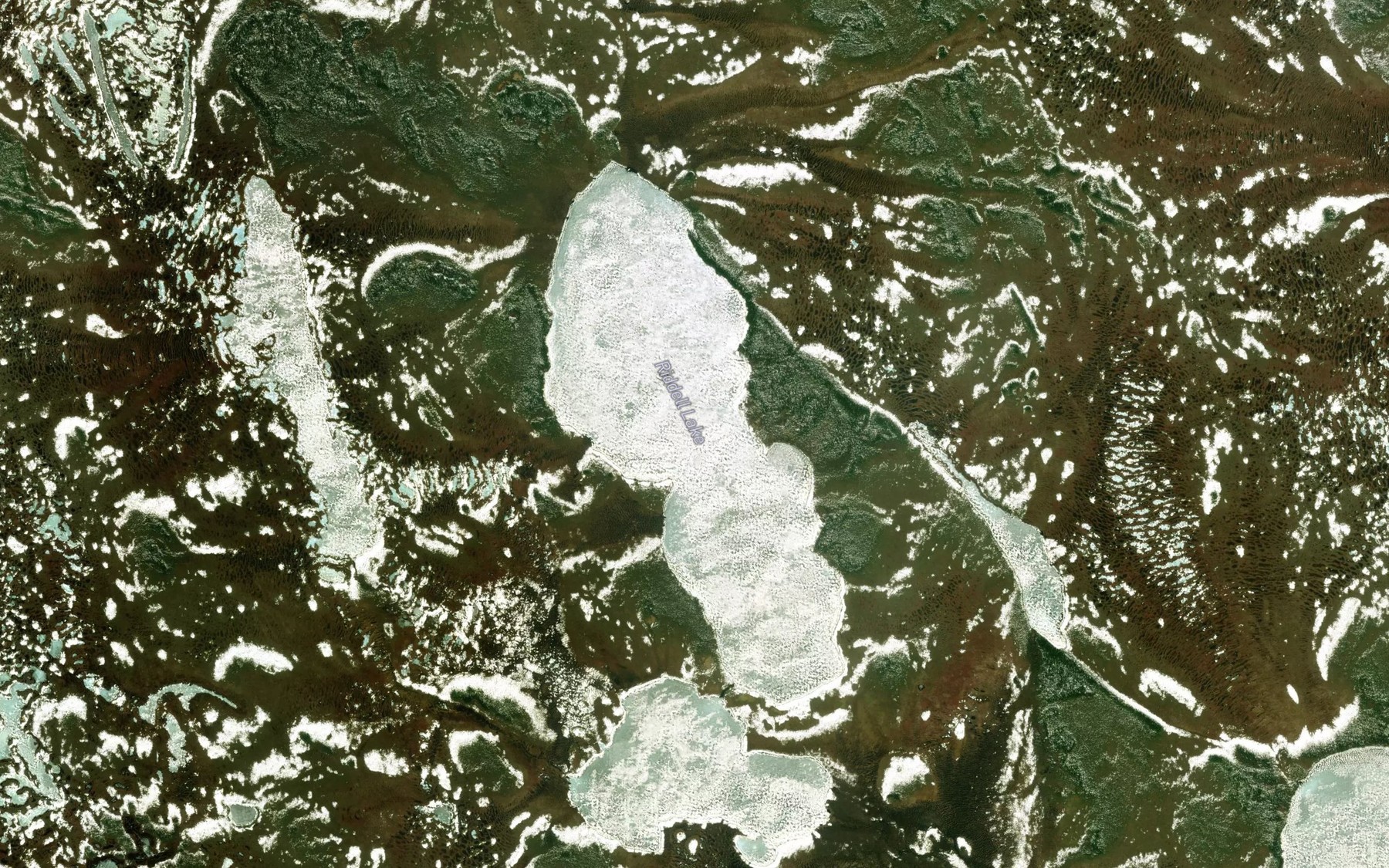 Satellite map of the Riddell Lake