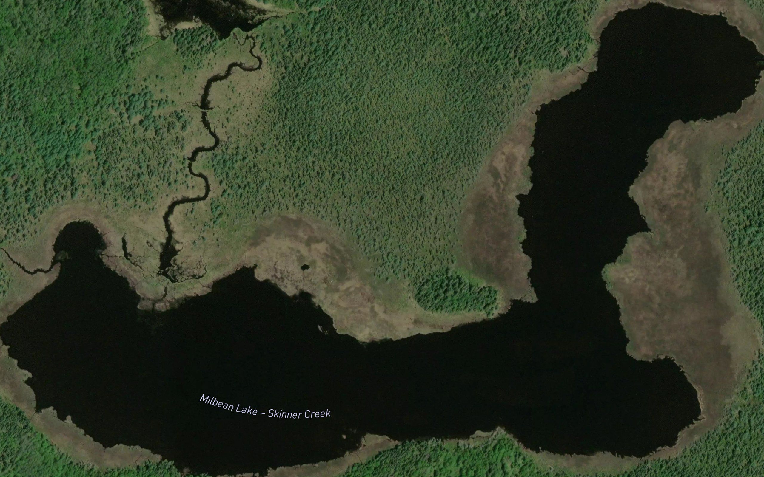Milbean Lake
