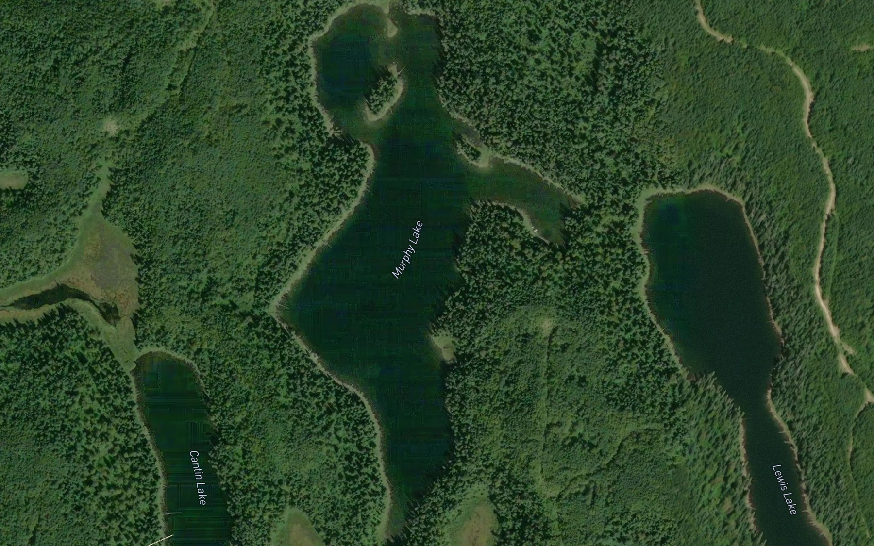 Satellite map of the Murphy Lake