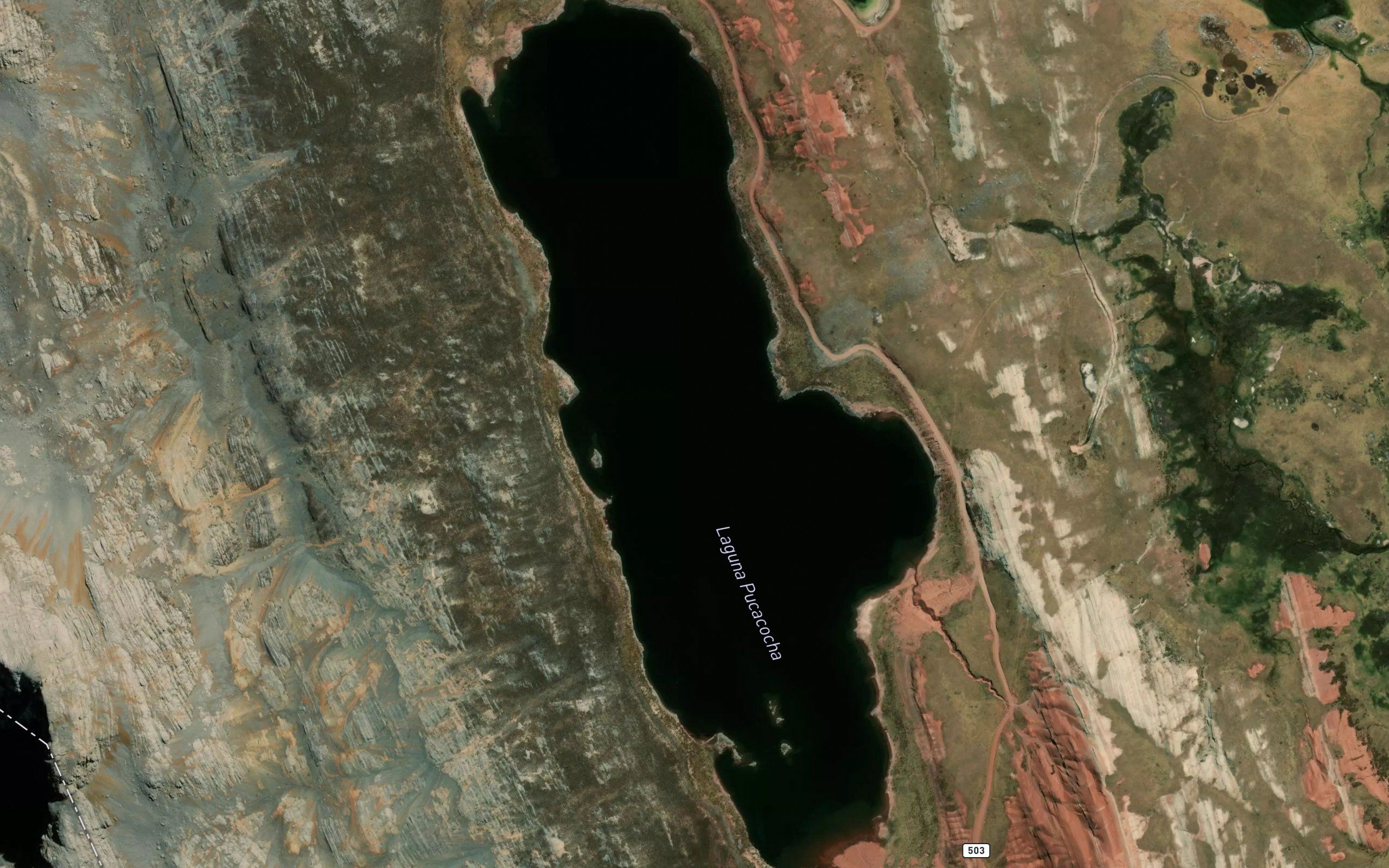 Laguna Pucacocha