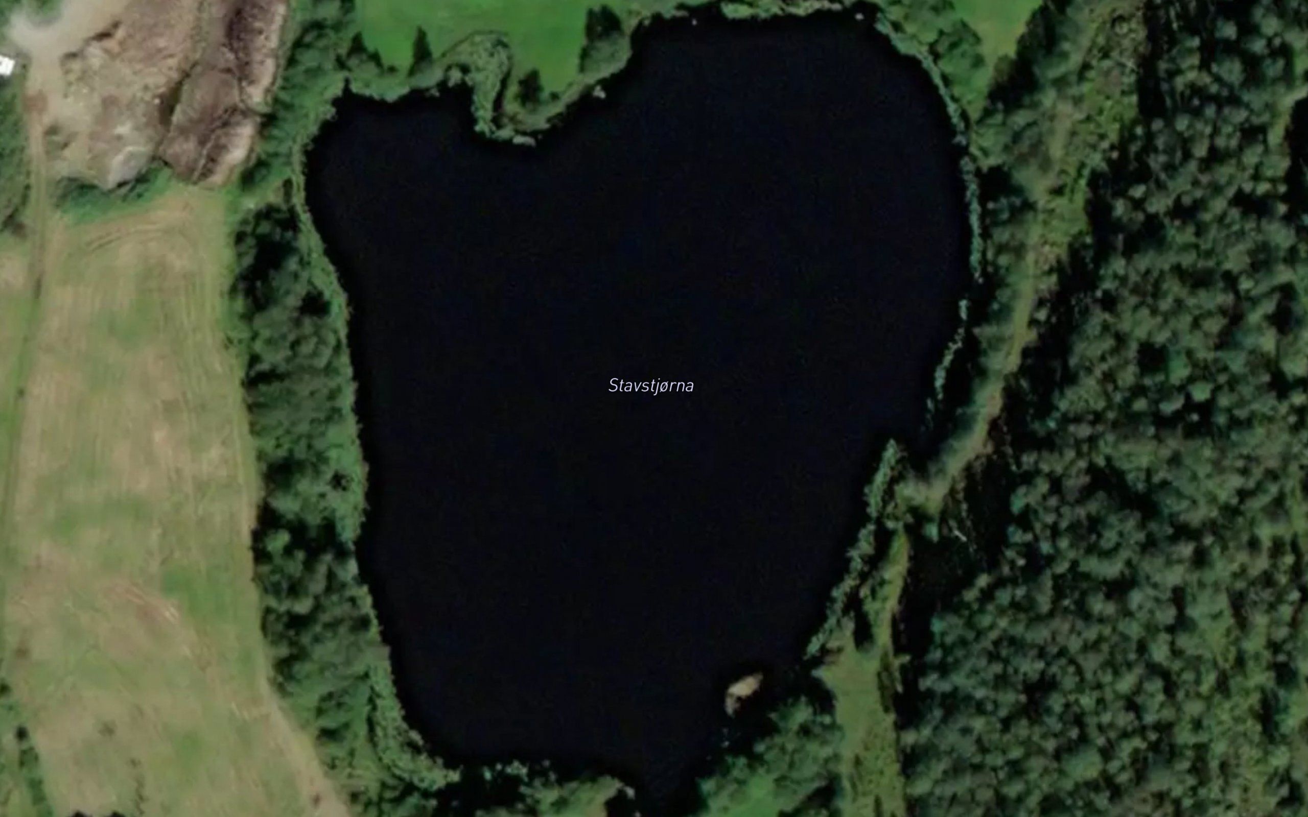 Stavstjorna