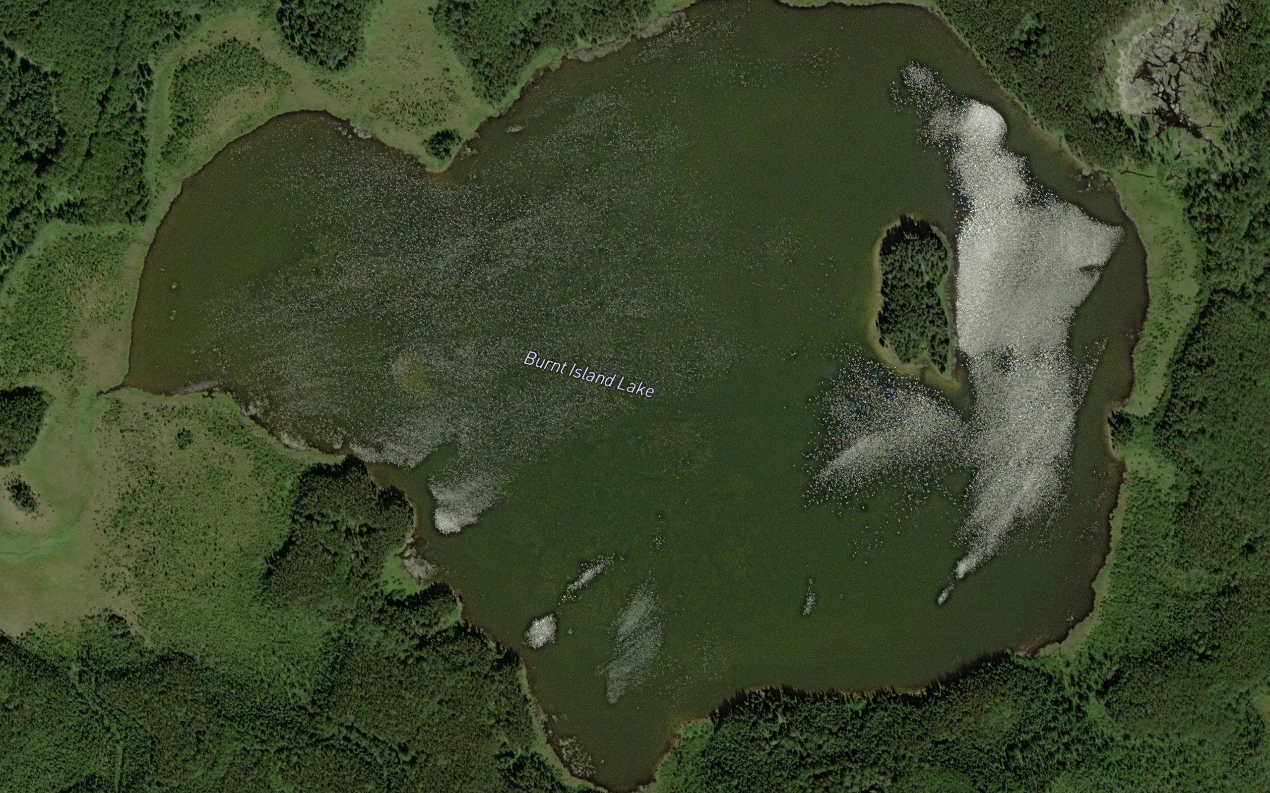 Burnt Island Lake