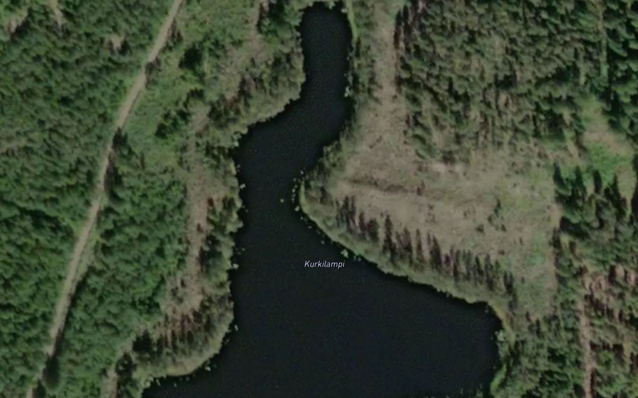 Kurkilampi